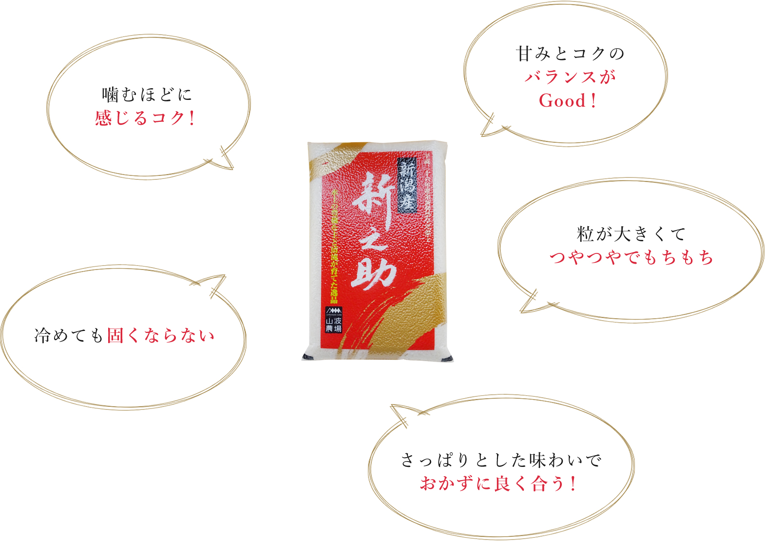 新之助とは