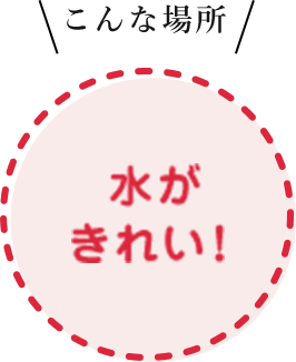 ハッチョウトンボ