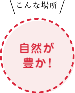 ハッチョウトンボ