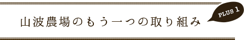 山波農場のもう一つの取り組み