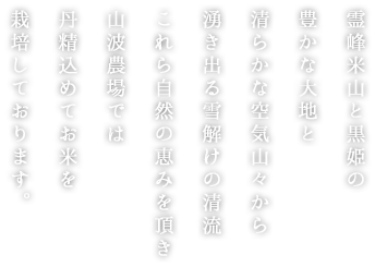 霊峰米山と黒姫の豊かな大地と清らかな空気 山々から湧き出る雪解けの清流これら自然の恵みを頂き山波農場では丹精込めてお米を栽培しております。